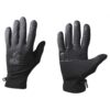 GANTS Ster